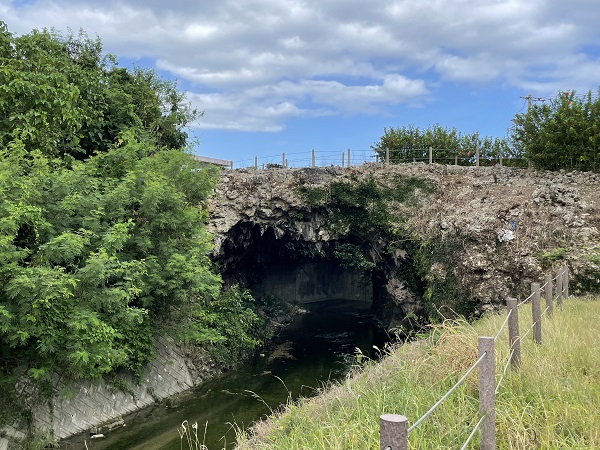 AHC株式会社のブログ記事のトップ画像