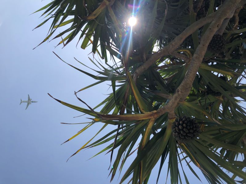 AHC株式会社のブログ記事のトップ画像