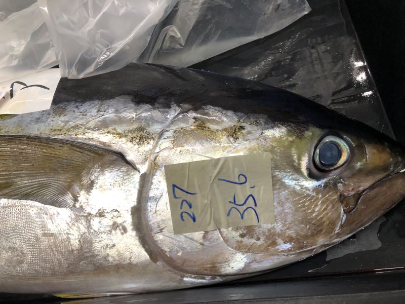 AHC株式会社のブログ記事のトップ画像