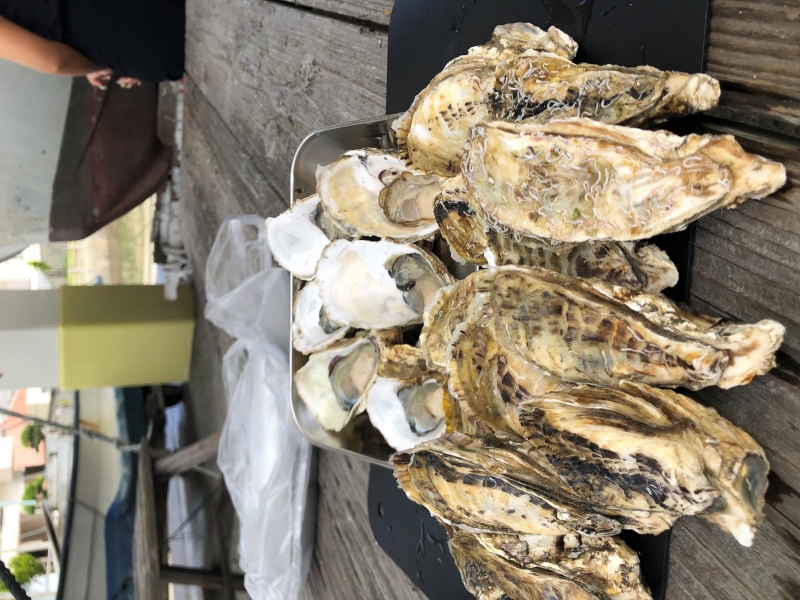 AHC株式会社のブログ記事のトップ画像