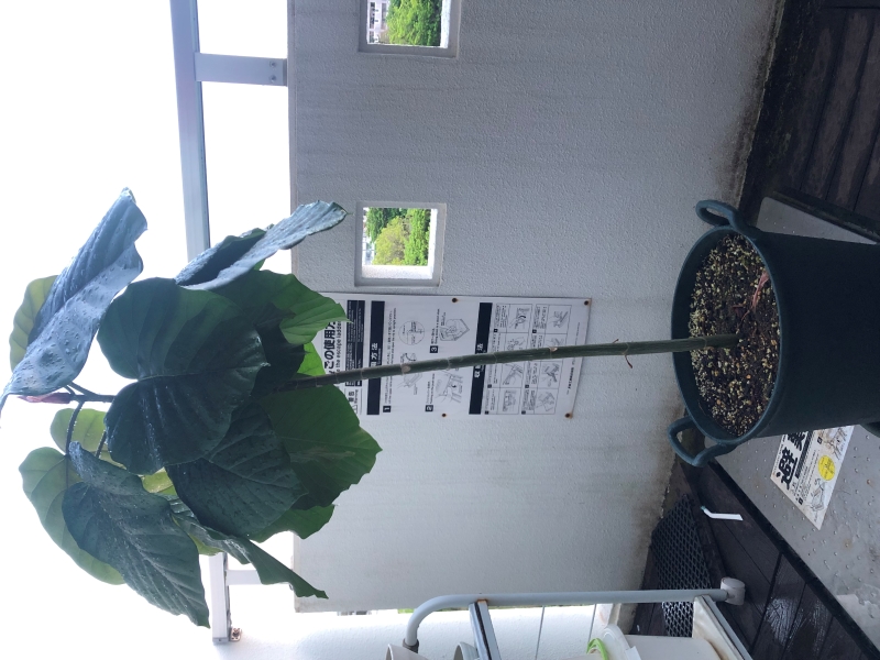 AHC株式会社のブログ記事のトップ画像