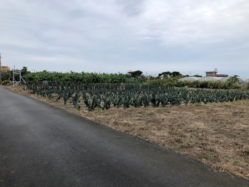 AHC株式会社のブログ記事のトップ画像