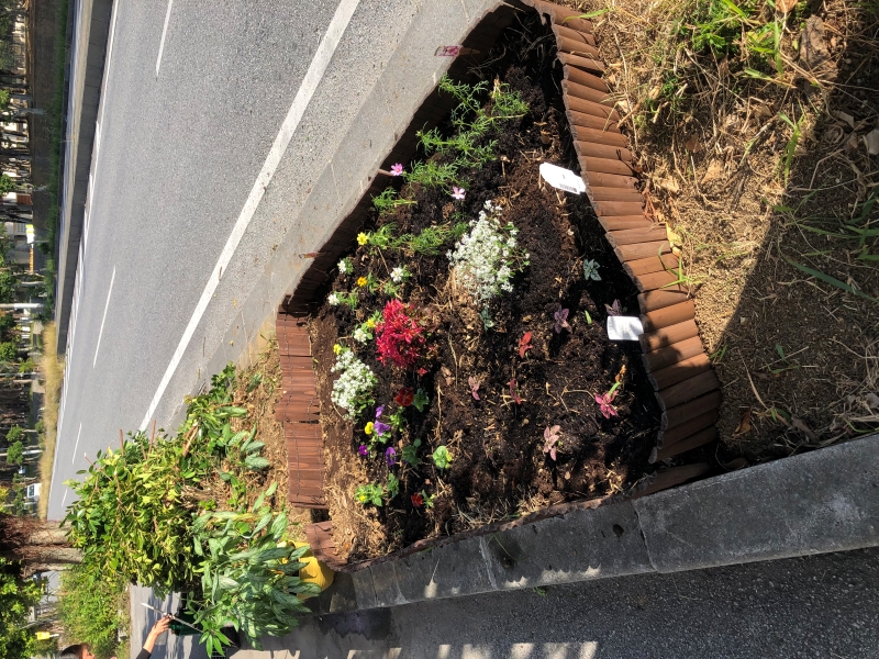 AHC株式会社のブログ記事のトップ画像