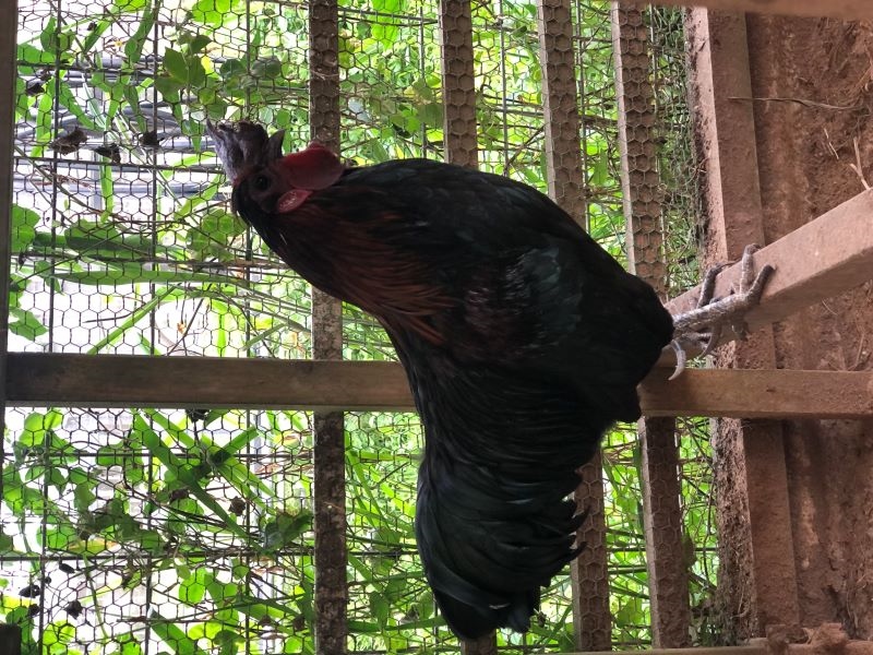 AHC株式会社のブログ記事のトップ画像